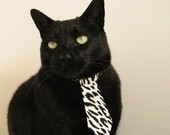 围场内战，红牛一队的精密手术刀，与汉密尔顿的完美统治