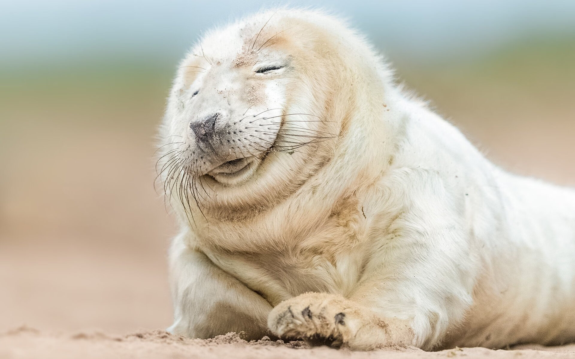 绝望与奇迹，黑色之矛与金色太阳的足球叙事