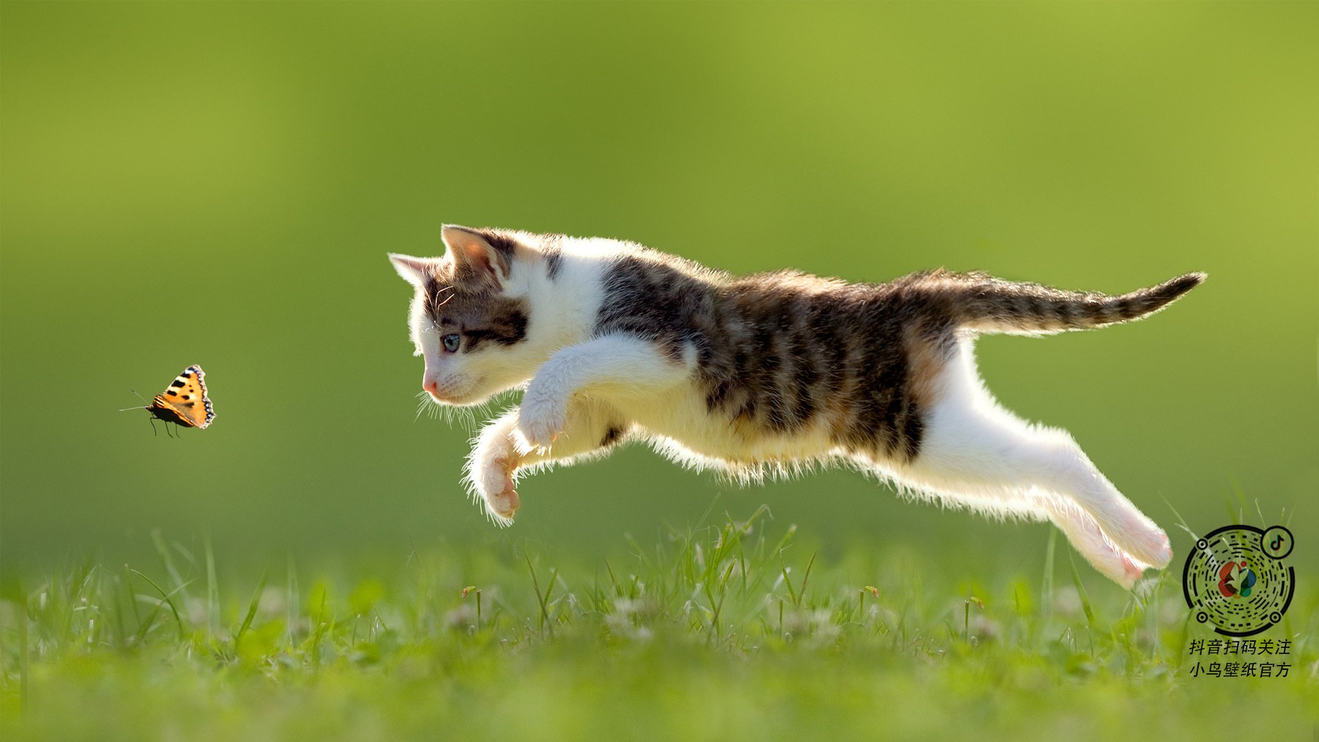 神锋破铁壁!伊布天神下凡,粉碎秘鲁连击风暴压制曼城神话