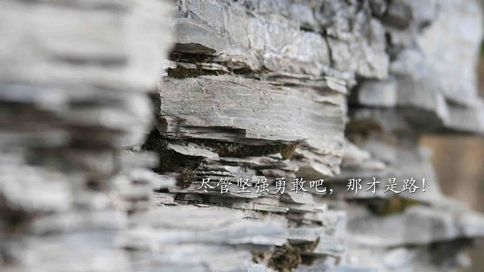 卡马文加爆发！加拿大生死战力克冰岛，晋级之路现曙光