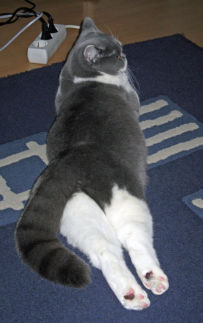 个人能力的胜利,从墨西哥收割英格兰看皮克的卓越表现