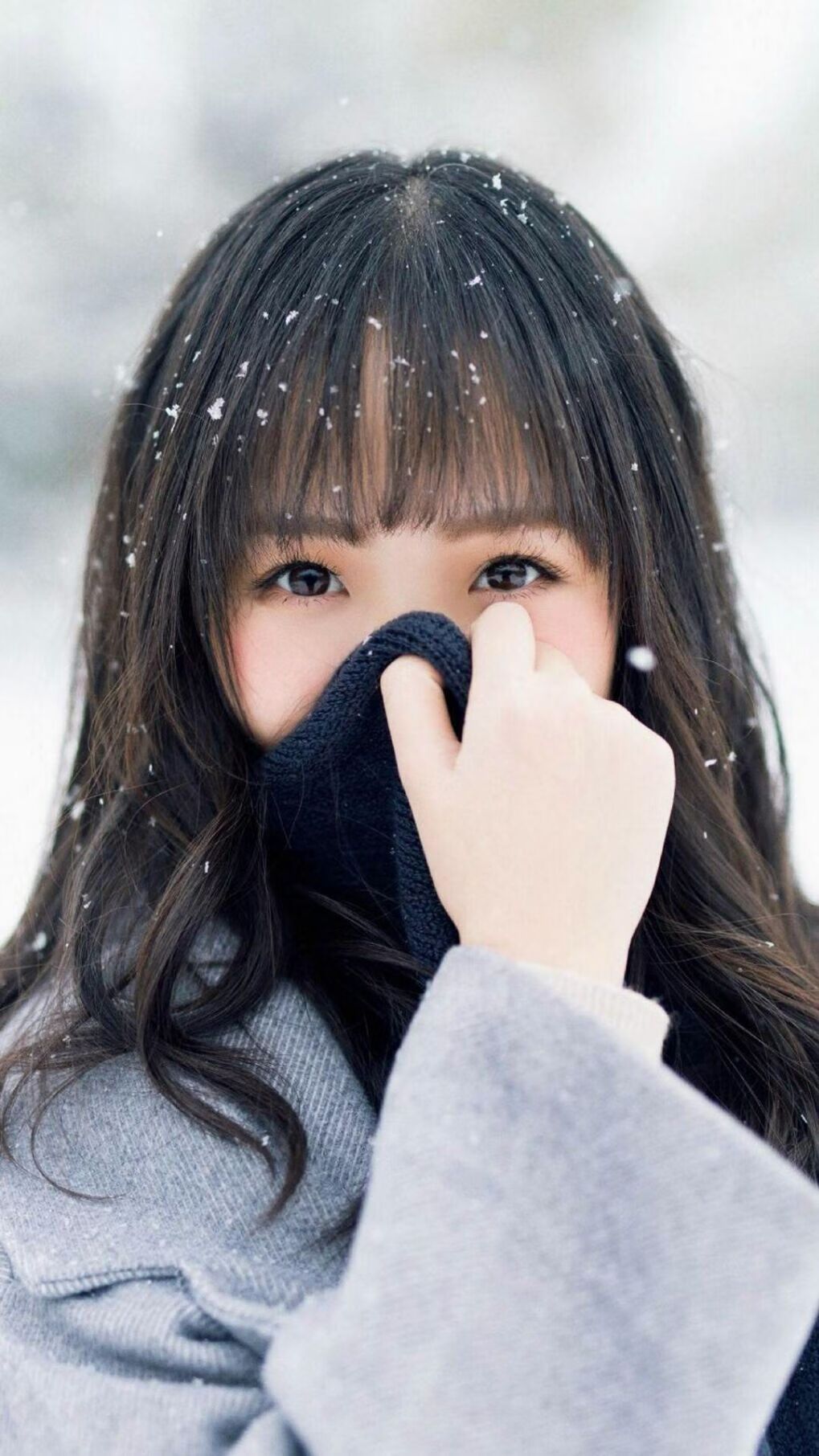 双线激战,德甲争冠巅峰对决与瑞士爆冷淘汰荷兰