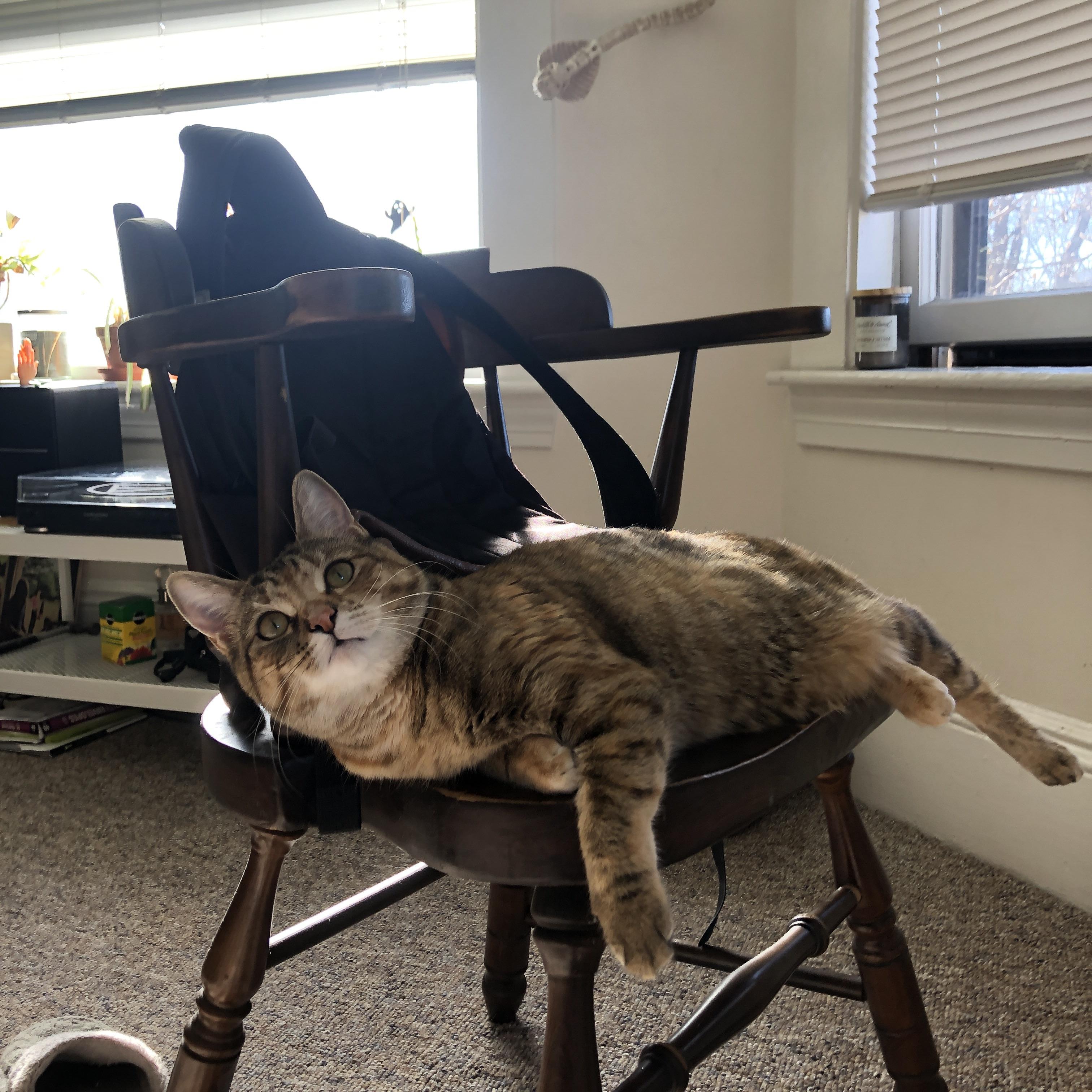 油门踩到底，篮球与赛车同时进入弯道时间