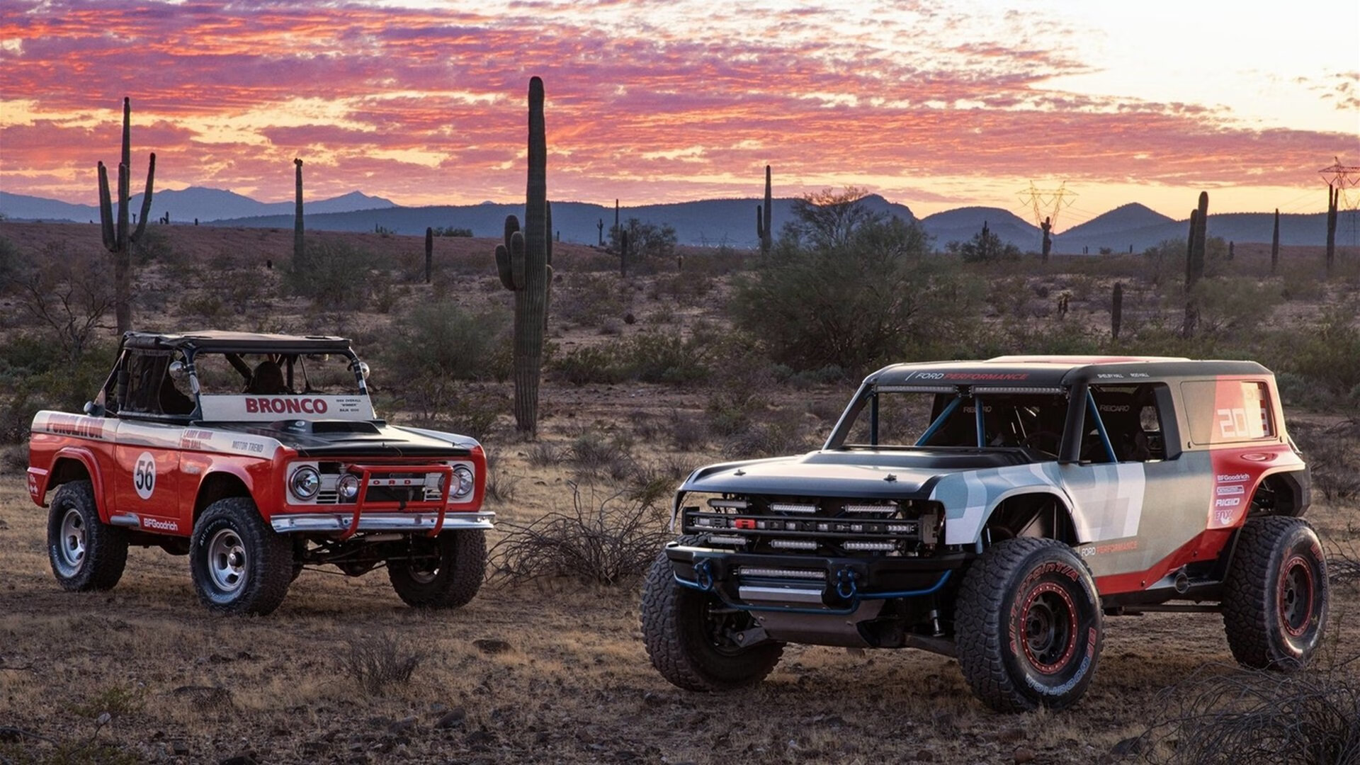 冰与火之歌,当紫金王朝的烈焰,冻结天山脚下的最后一片雪