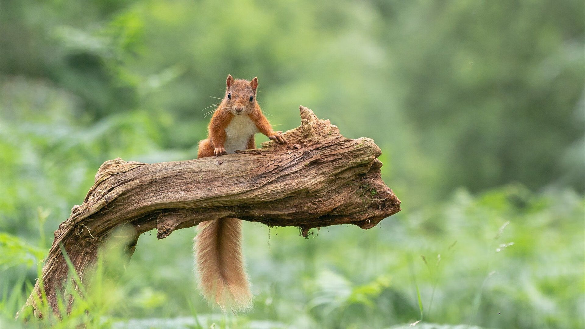 暗夜独舞，西甲国家德比之夜，末节的李刚仁写下唯一性注解