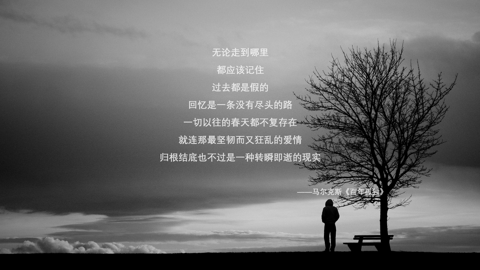 当深圳恩比德爆发,跨越太平洋的篮球叙事与冠军之路