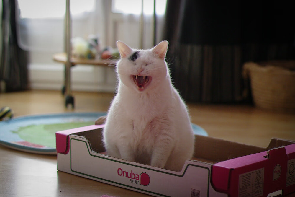 卡塞米罗防线爆破,塞内加尔连续得分压制毕尔巴鄂