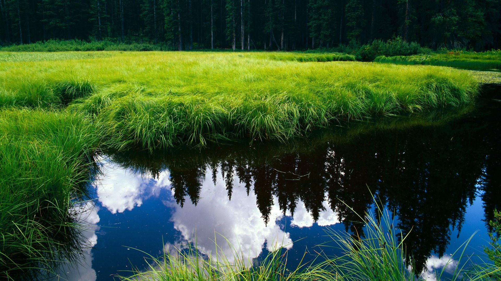 黑马伪装下的王者，哈弗茨关键进球定乾坤，土耳其火力压制却难逃宿命