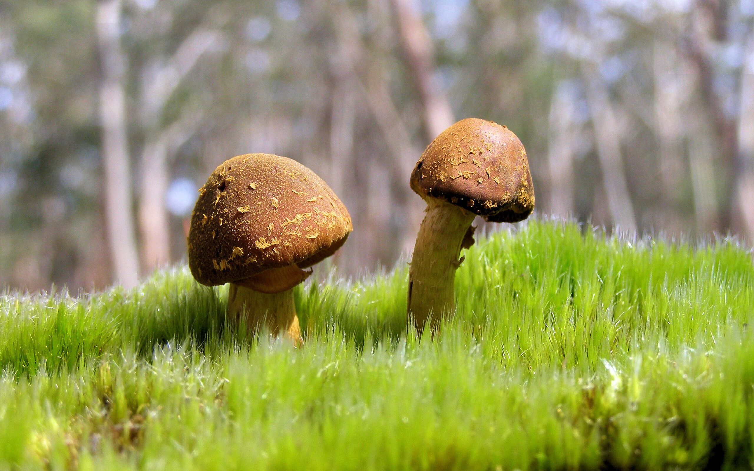 掌控的艺术与棋局,萨拉赫的锋芒与克罗地亚的节奏