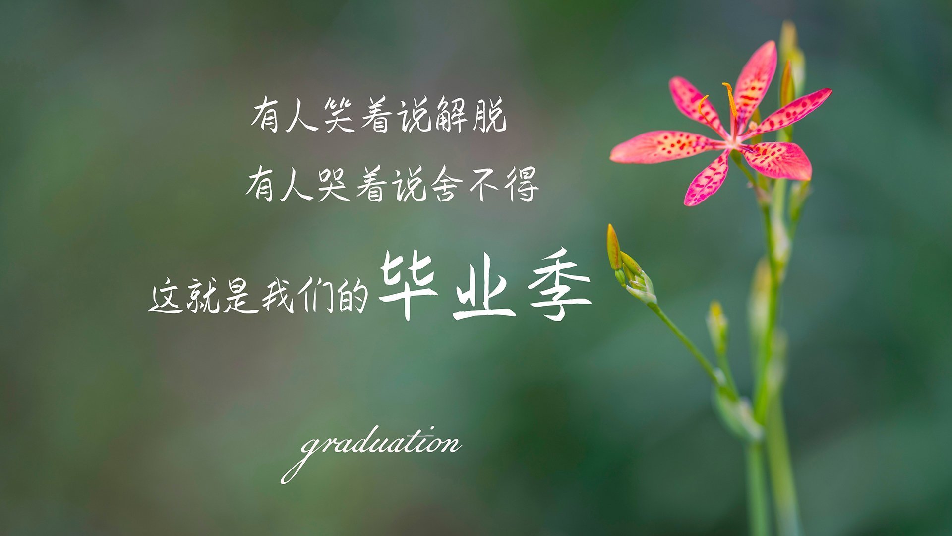 王者独行，孙兴慜撕裂橙衣防线，葡萄牙绝杀荷兰铸造D组新王座